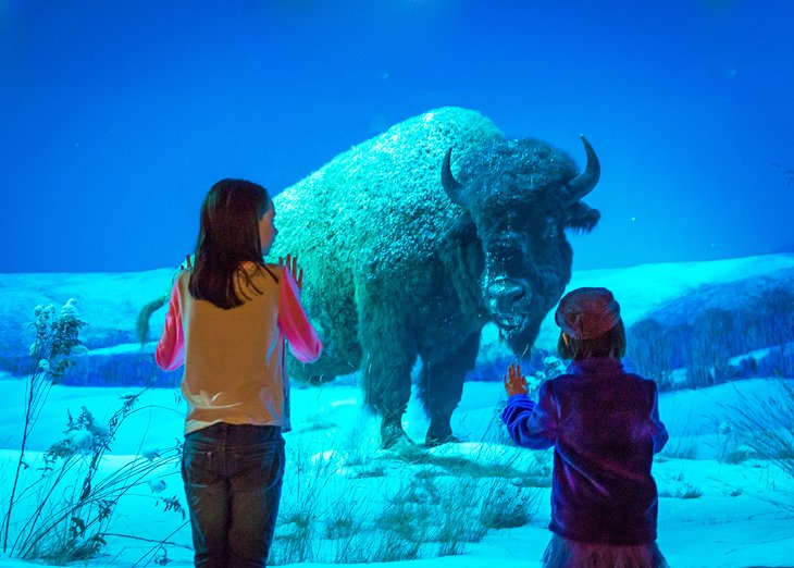 The State Museum of Pennsylvania