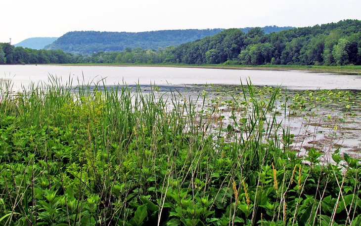 Parc Wildwood