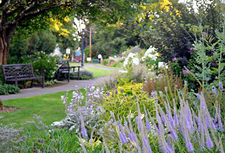 Deepwood garden walk