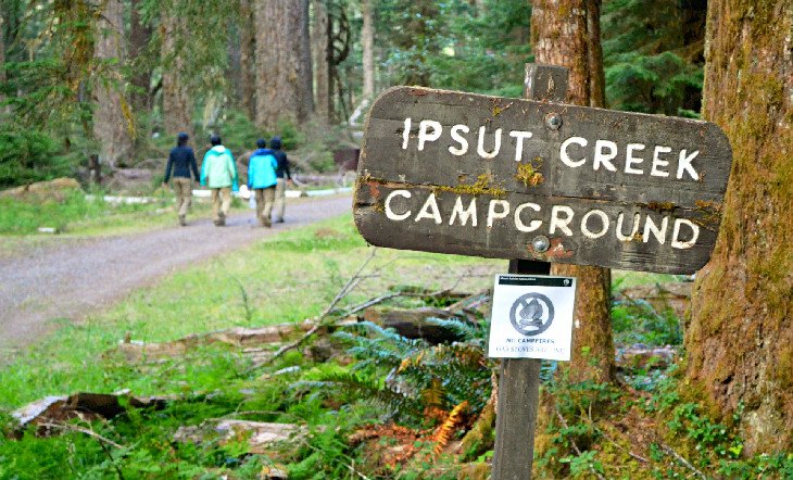 10 campamentos mejor calificados en el monte. Parque Nacional Rainier