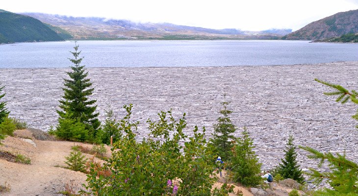 Spirit Lake log mat