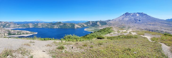 Harry's Ridge Trail