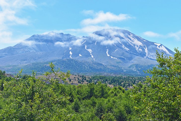 12 rutas de senderismo mejor valoradas en Mount St. Helens