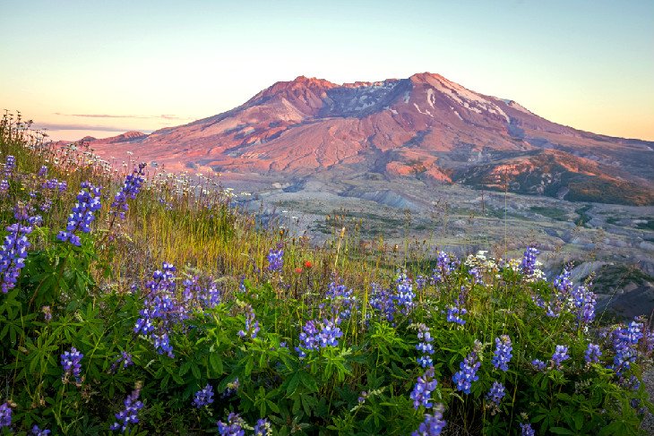 12 rutas de senderismo mejor valoradas en Mount St. Helens