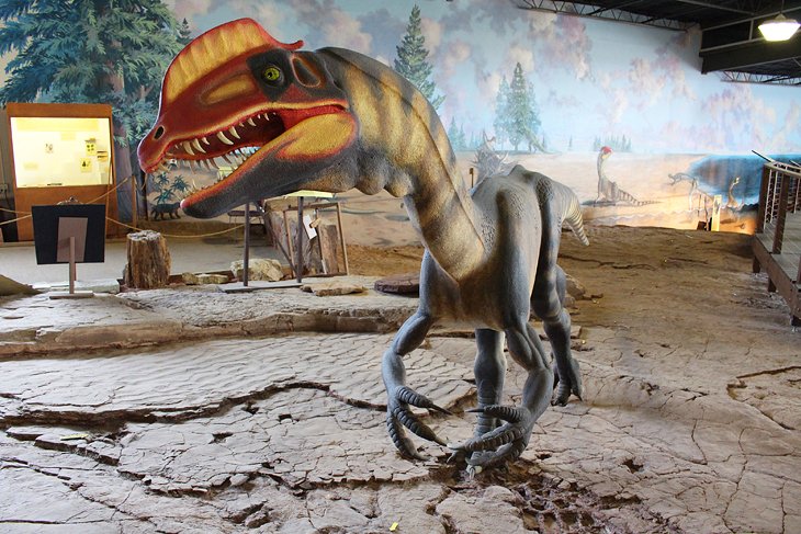 Dinosaur Discovery Site