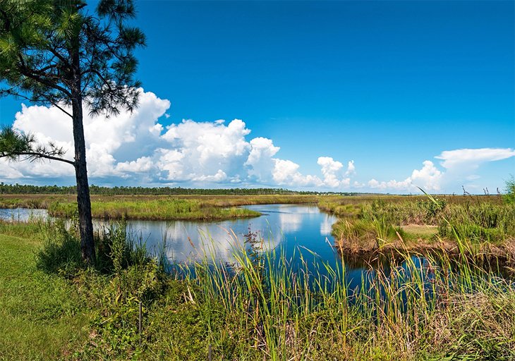 Gulf State Park in Gulf Shores, Alabama