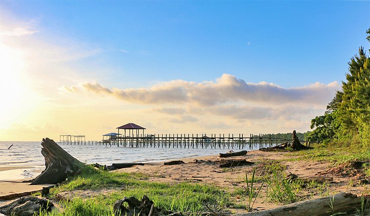 Mobile Bay shoreline