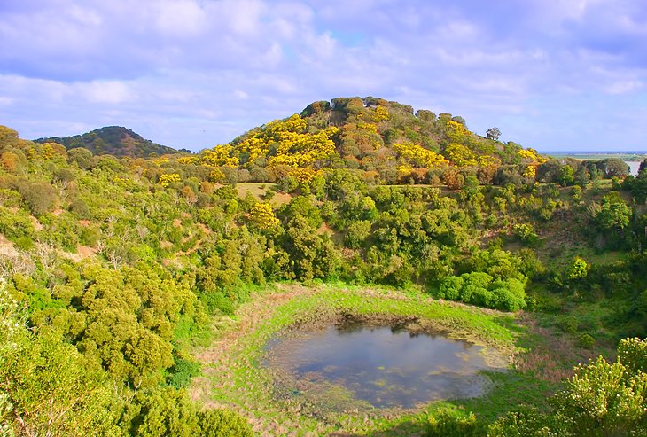 Tower Hill Wildlife Reserve