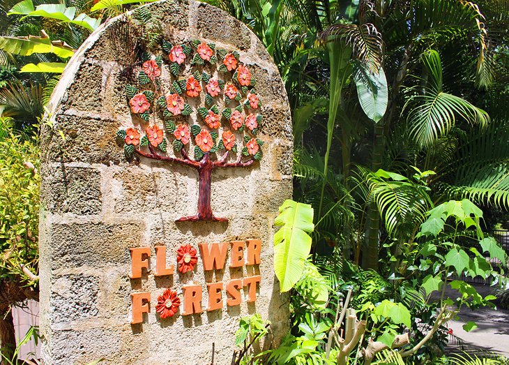 Flower Forest