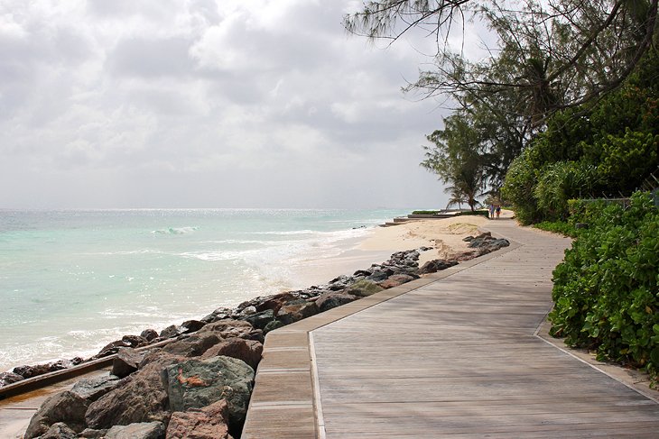 Richard Haynes Boardwalk