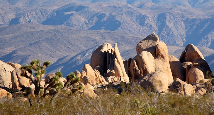 Boulders in Joshua Tree National Park