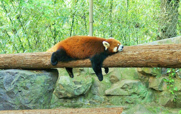 Hangzhou Zoo