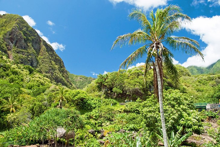 Iao Valley