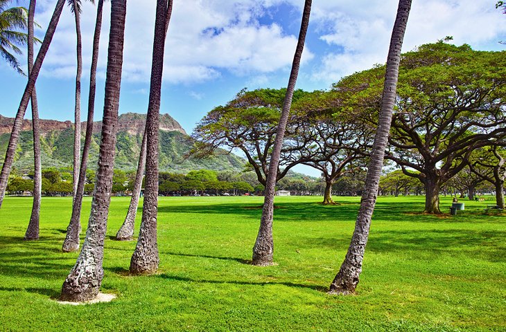 Kapiolani Park with a view of Diamond Head