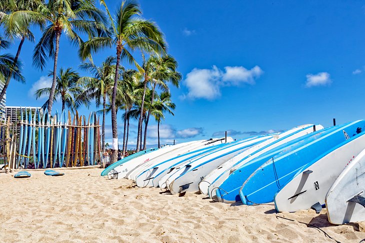 Planches de surf sur la plage de Waikiki