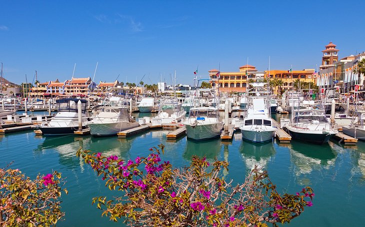 Marina Cabo San Lucas