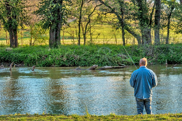 Trout fishing in the Ozarks