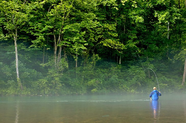 Trout fishing in the Eleven Point River