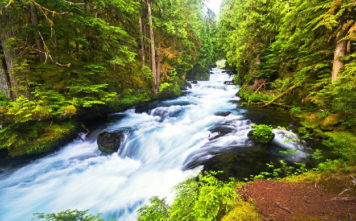 The McKenzie River