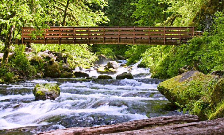 Bridge on Ainsworth Hiking Trail