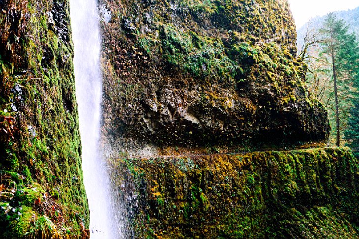 Tunnel Falls on Eagle Creek Trail