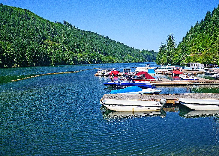 12 campamentos mejor calificados cerca de Portland, Oregón