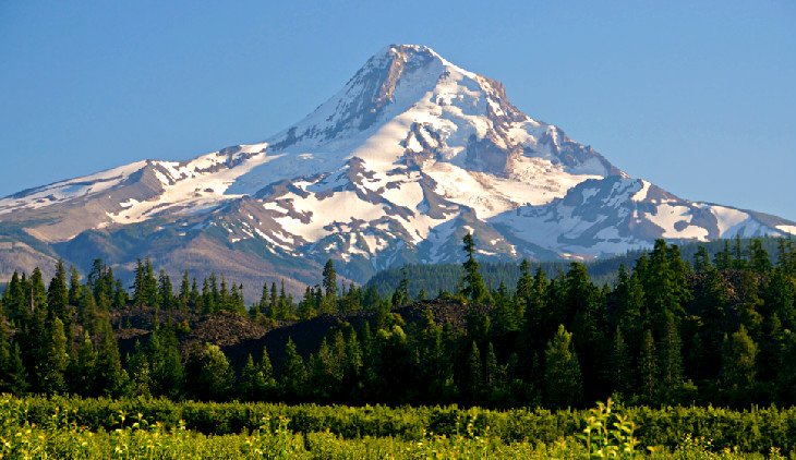 Mount Hood