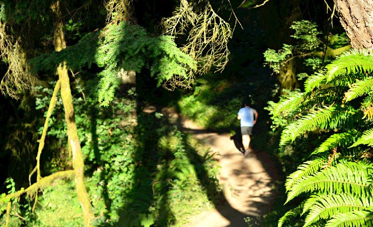 Maple Trail Loop