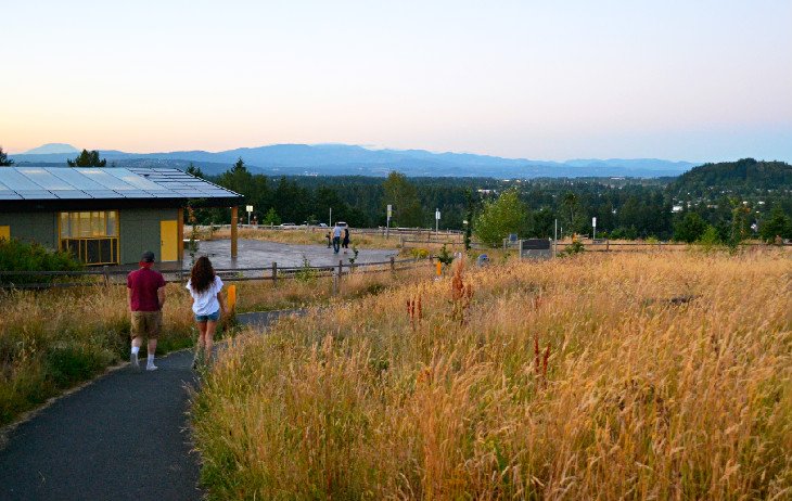 Hikers descending from the Mountain View Trail