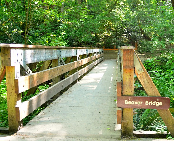 Tryon Creek State Natural Area