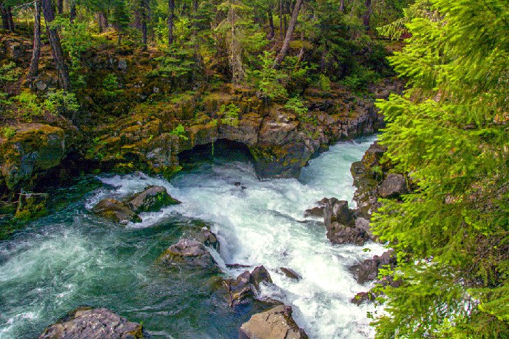 11 campamentos mejor calificados en Oregón