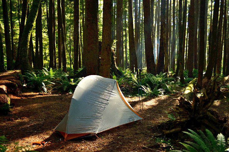 Tillamook Head Backpackers Camp