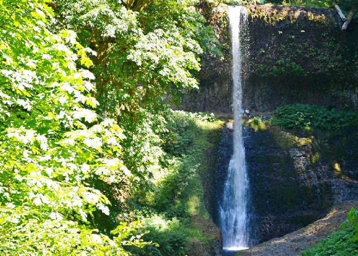 Waterfall at Silver Falls State Park