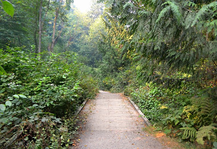 Pipers Creek Trail at Carkeek Park