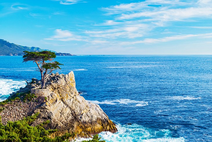 The Lone Cypress on the 17-mile drive near Carmel