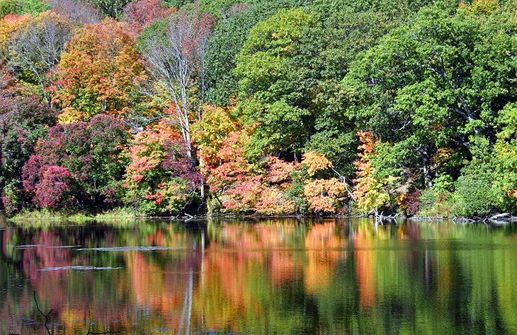 Fall foliage in Chester