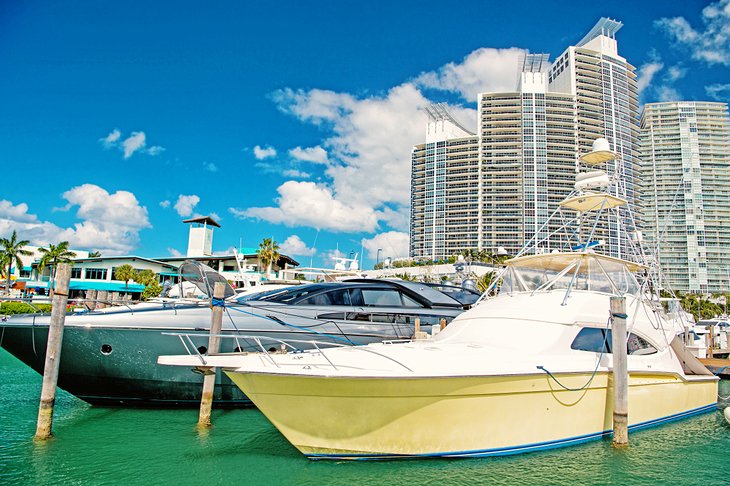 Yachts in a Miami Beach marina