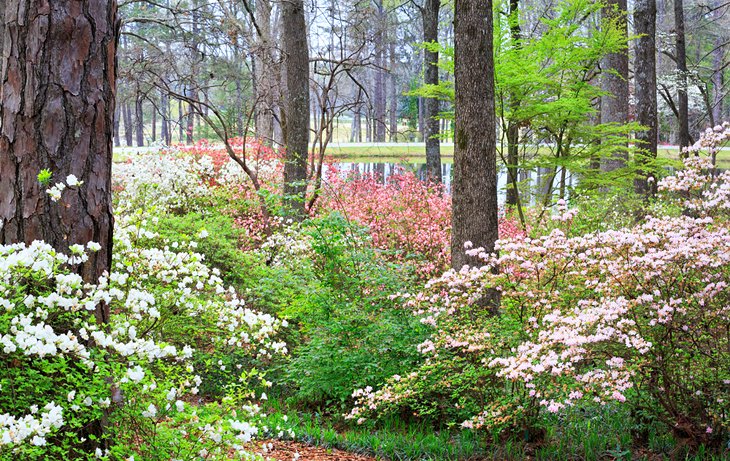 Callaway Gardens