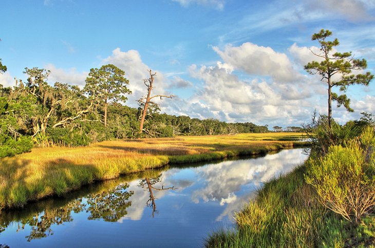 Clam Creek on Jekyll Island