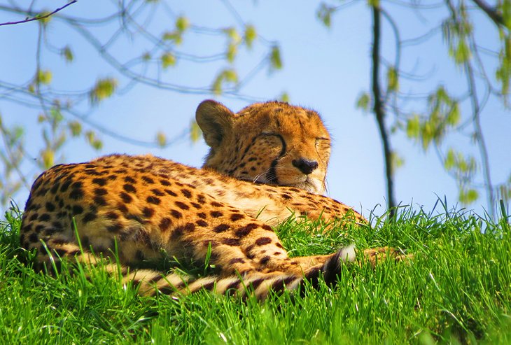 Aachener Tierpark Euregiozoo