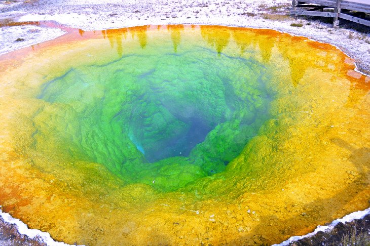 Morning Glory Pool at Yellowstone
