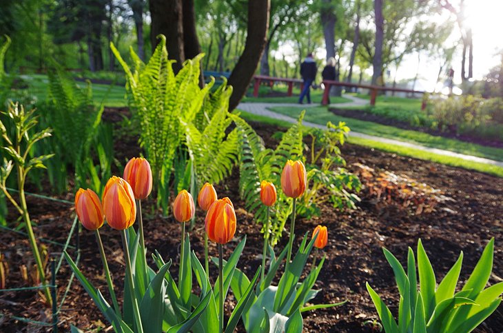 Kildonan Park