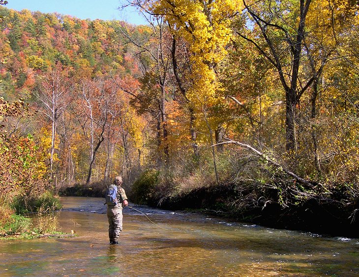 Trout fishing in Missouri