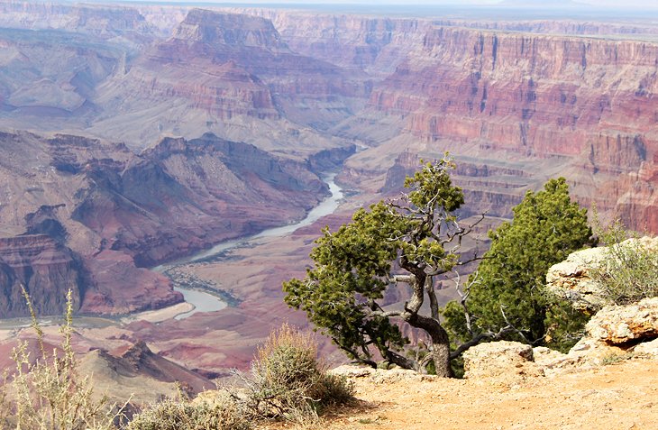 Grand Canyon