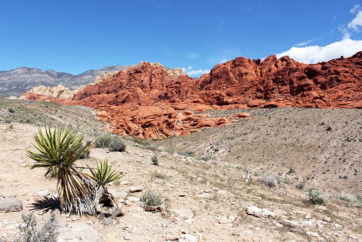 Red Rock Canyon National Conservation Area