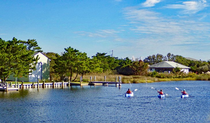 Kayak Tours