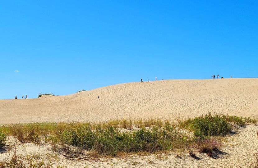 Jockey's Ridge State Park