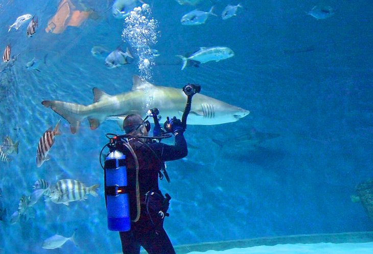 North Carolina Aquarium