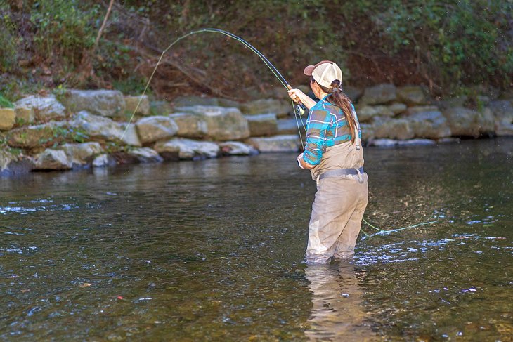 Fly fishing in the forest