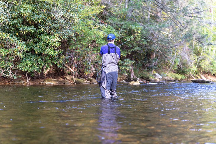 Los 10 ríos mejor calificados para la pesca de truchas en Carolina del Norte